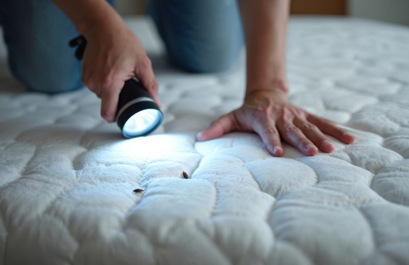 Bed Bug Inspection Service detail