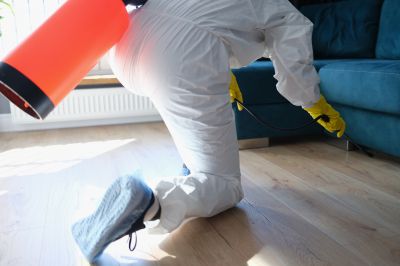 Pest Fumigation Service in Fayetteville, NC