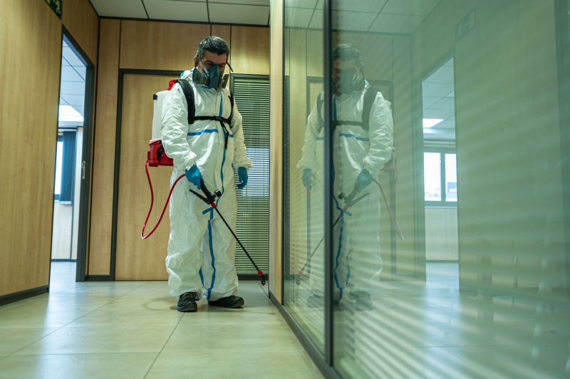 Rat Fumigation Service in Coeur D Alene, ID
