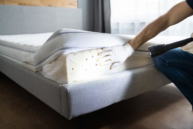 Bed Bugs Service
